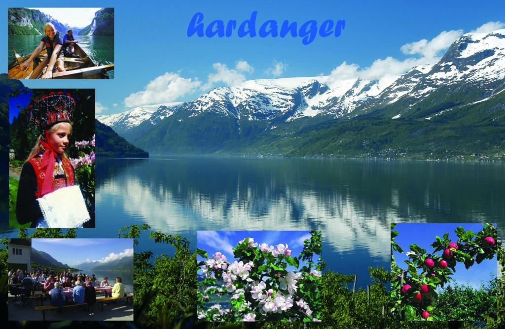 Trolltunga Camping Odda Exterior photo